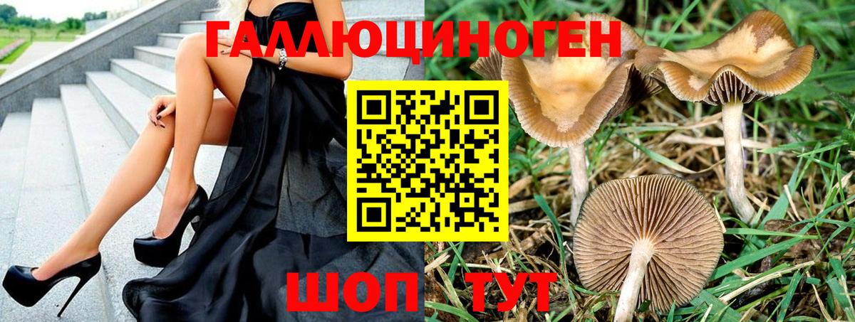 Галлюциногенные грибы Psilocybine cubensis  Вход с VPN  дарнет шоп  Зима 