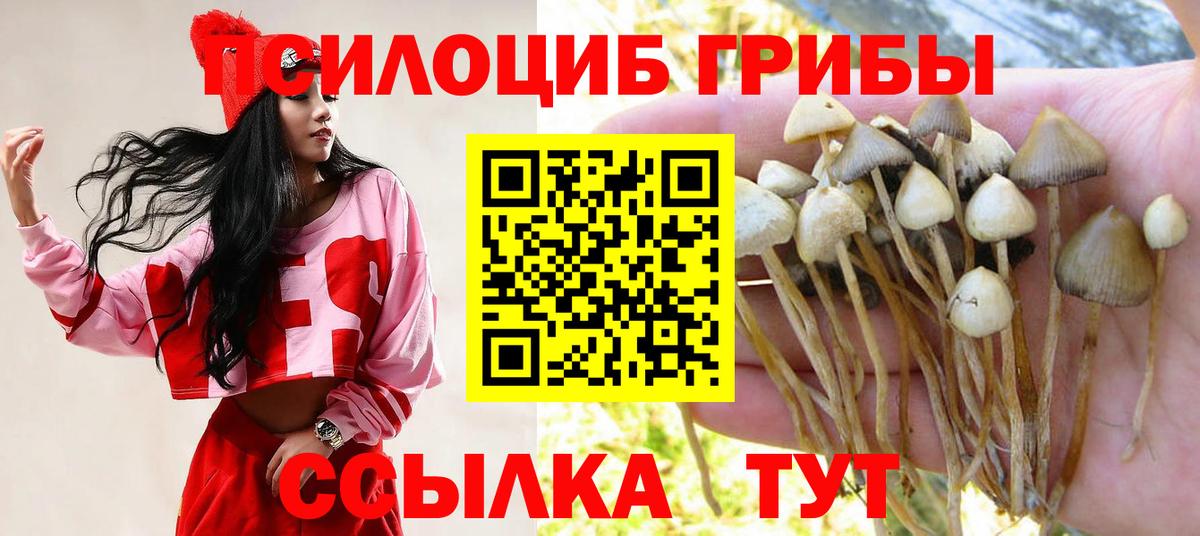 Псилоцибиновые грибы MAGIC MUSHROOMS Зима